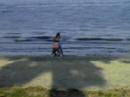 IN THE WATER