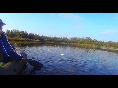 ловля щуки на кружки ютуб ловля щуки на кружки ютуб
