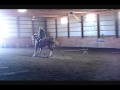 Horse Goals for 2010 Contest *OPEN*