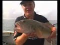 Coral Trout Fishing with LAZER LURES - www.lazerlures.com