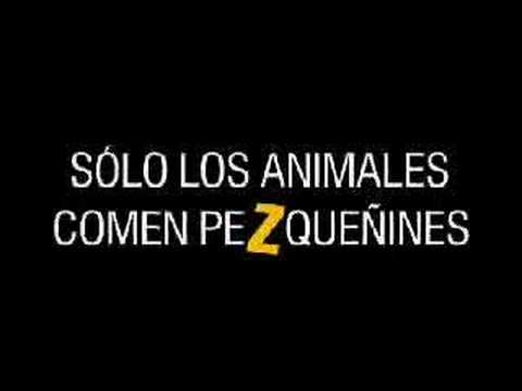 Imagen de previsualización de YouTube