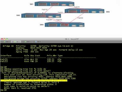 how to troubleshoot spanning tree loop
