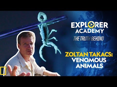 Unit 02-Zoltan Takacs: Venomous Animals Thumbnail