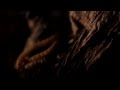 Sucioperro - A River Of Blood [OFFICIAL]
