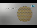 Xperio de Essilor: Begud Optique