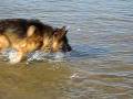 videos de Am Rhein