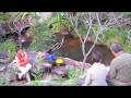 Australia 2: Cooktown to Cairns