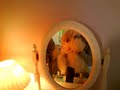 Shih Tzu Makeover