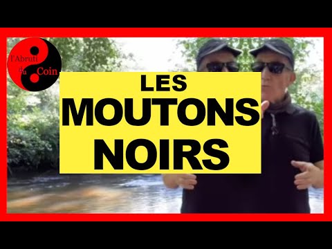 Image de prévisualisation YouTube