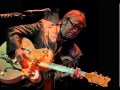 Tribute To Stephen Stills  Titled :  WOOD & WIRE