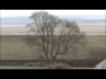 Tallis Fantasia - PART 1.m4v