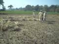 videos de Punjab University Lahore