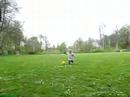 Voetbal en Auto\ Voetbal en Auto\