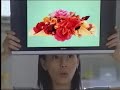 加藤あい