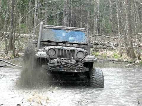 Rocsta Top Car Reviews