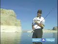 Advanced Fishing Tips : Using Jerk Bait for Fishing: Advanced Angling Techniques