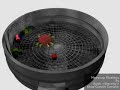 3D Maexxna Strategy