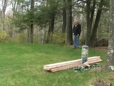 how to fertilize acorn squash