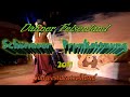 Schoenauer Prunksitzung im Dahner Felsenland Teil 8 carly s clips auf youtube