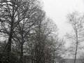 Einsetzener Schneefall 21.11.2008