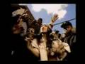 Bekijk videoclip 'Aaliyah - Come Back In One Piece'