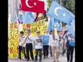 Save East Turkistan