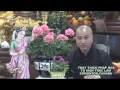 Hải Đảo Tự Thân - Kỳ 2 - Phần 5