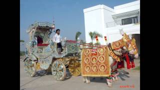 Navrang Mirror Bagi