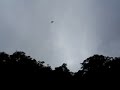 El s�tano de las golondrinas