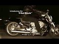2009 VRSCF V-ROD ???? 2009 VRSCF V-ROD ????