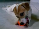 Yuchi is Playing with the Ball