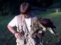 The Redtail: as trained by an apprentice