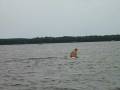 videos de Nessie