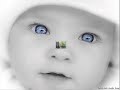 firari-sevdam47.html