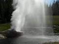 Riverside Geyser