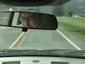 67-cummins-7in-stacks-part-2.html