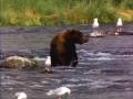 Projet Nature Protection Planete .