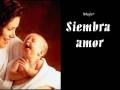 Siembra AMOR.. Cosecha AMOR