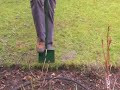 Lawn Edger