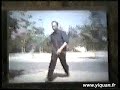 Yi Quan - Jian Wu par Yao Zong Xun