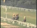 2010-03-27 | Silver Fox wins in the highest class at Calcutta ~> Pimpernel-Silver Reflet) wins for jockey B Mahesh and trainer Vijay Singh at Calcutta Summer Meeting 2010. ... Arbroath turf 2009 hippisme ... (<span>2:)