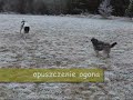Wika i Juka przywitanie Wika i Juka przywitanie