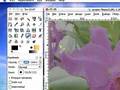 GIMP-Free-Alternativ