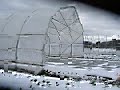 Moving the Greenhouse