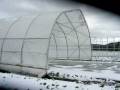 videos de Moving the Greenhouse