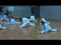 Tae Kwon Do - Ausbildung zum Meister und Trainer