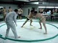 Sumo Argentino