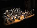 G. Verdi - Pace, pace mio Dio from La Forza del destino