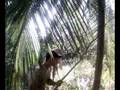 videos de rhuan na selva