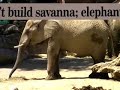 Philadelphia Zoo Elephant PSA Philadelphia Zoo Elephant PSA